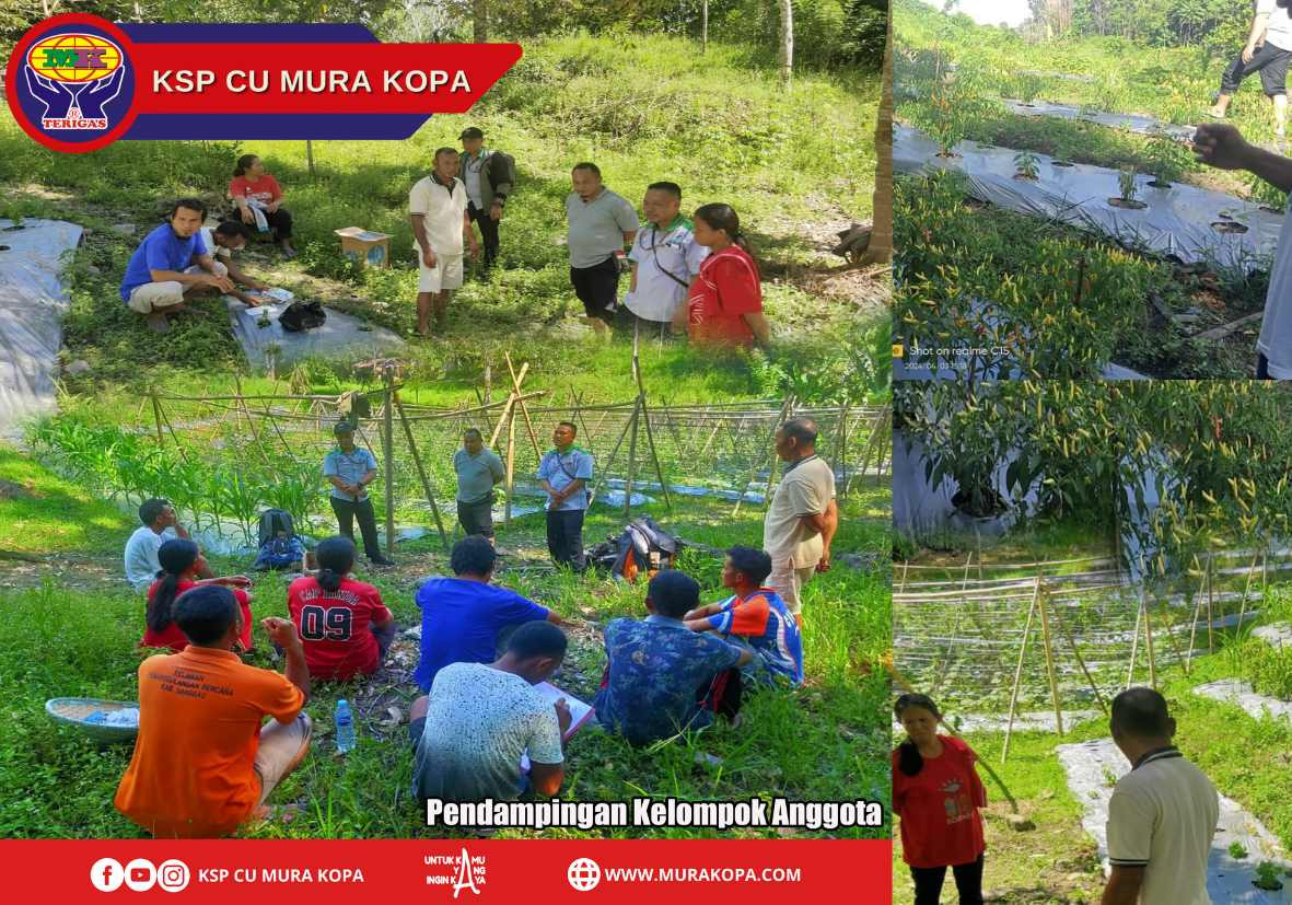 Pendampingan kelompok pertanian anggota